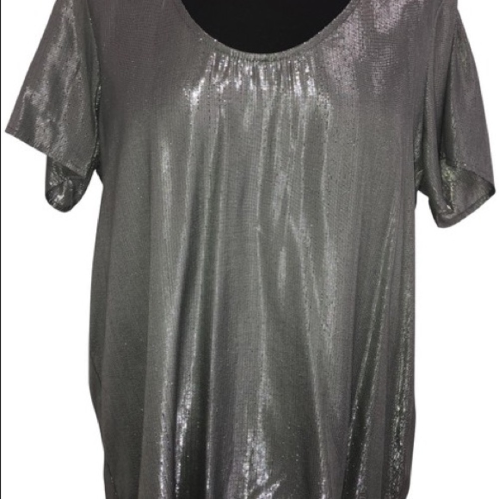 Velvet by Graham & Spencer Silver Shimmer Blouse